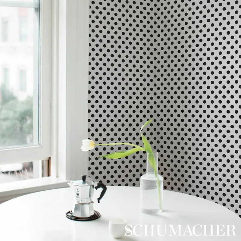 LADY BLACK & WHITE Schumacher Wallpaper wallpaper - SKU 5012610