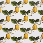 LE CITRON IVORY Schumacher Wallpaper wallpaper - SKU 5014280