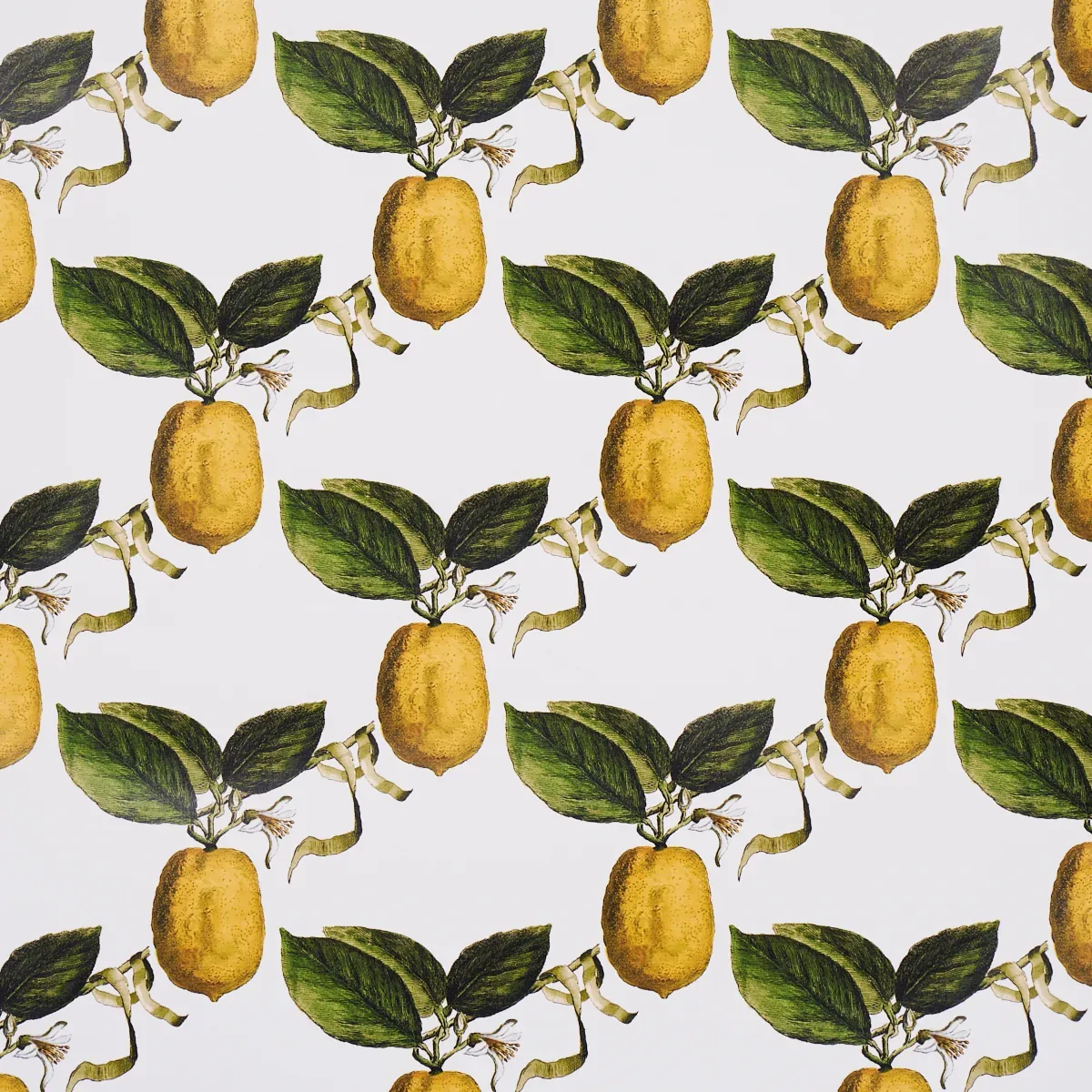 LE CITRON IVORY Schumacher Wallpaper wallpaper - SKU 5014280