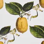 LE CITRON IVORY Schumacher Wallpaper wallpaper - SKU 5014280