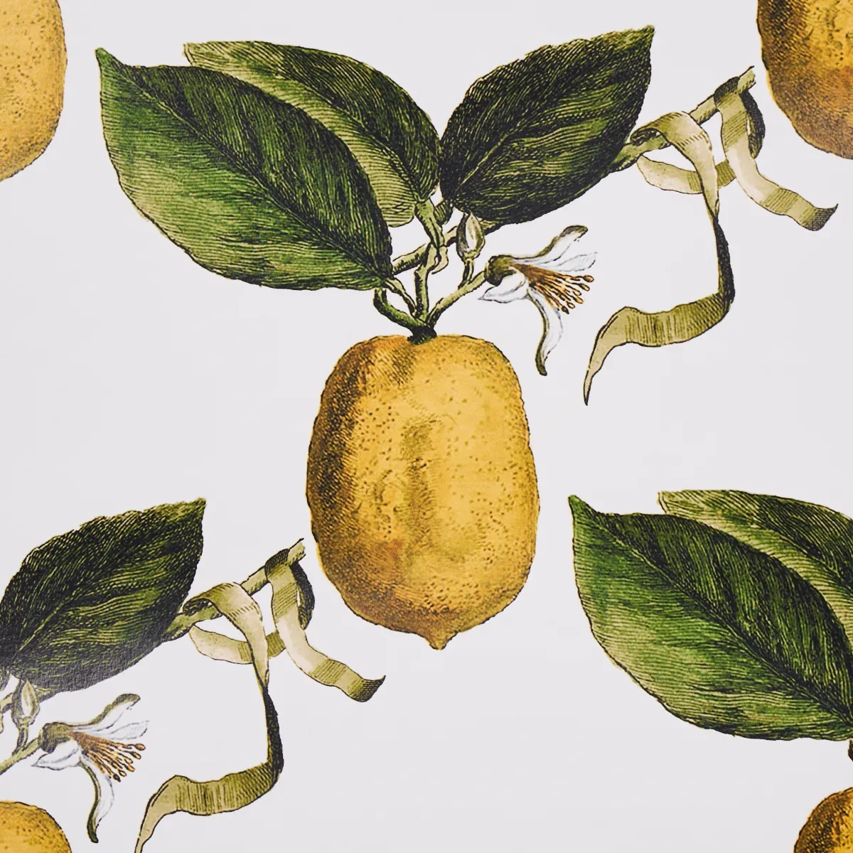LE CITRON IVORY Schumacher Wallpaper wallpaper - SKU 5014280
