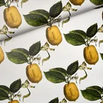 LE CITRON IVORY Schumacher Wallpaper wallpaper - SKU 5014280