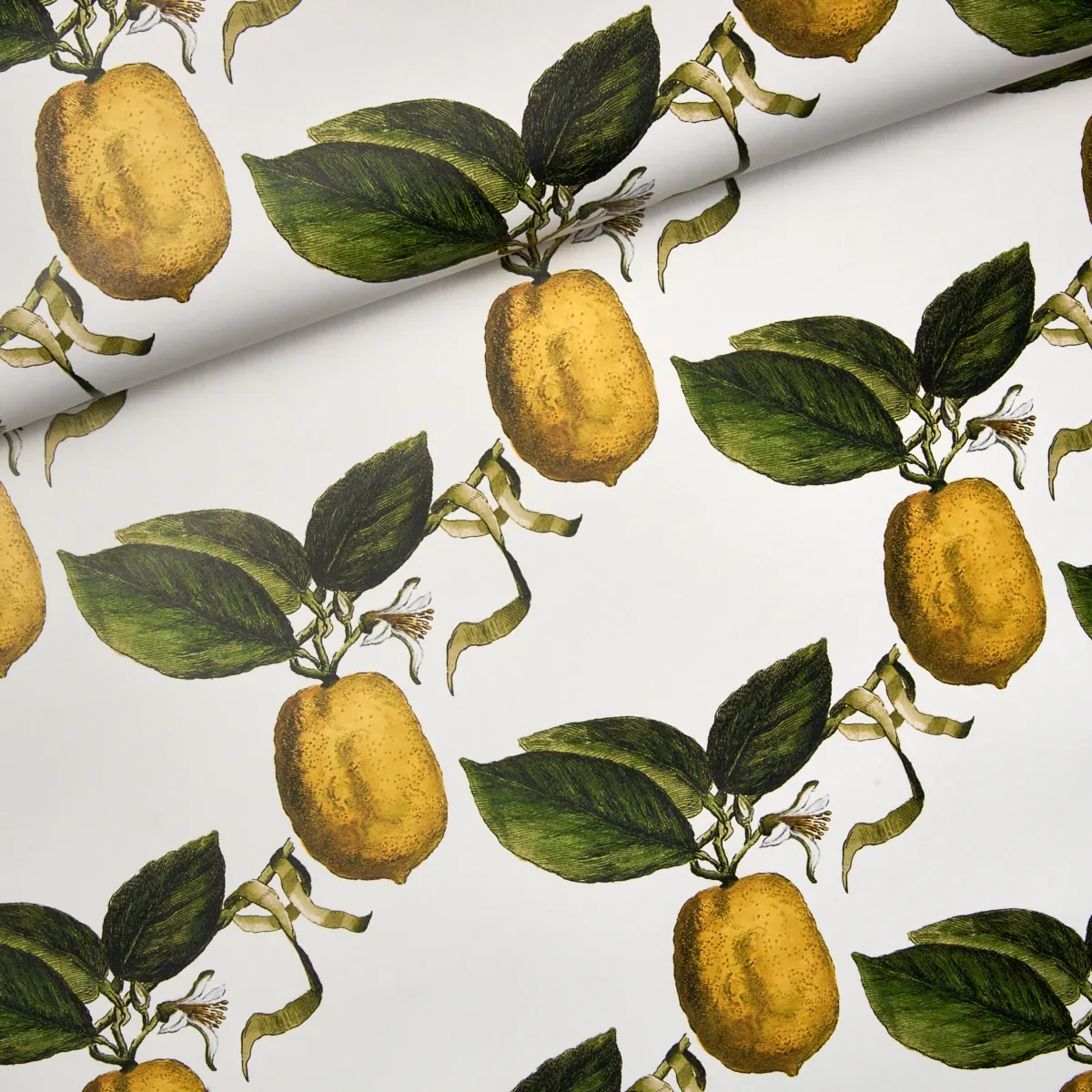 LE CITRON IVORY Schumacher Wallpaper wallpaper - SKU 5014280