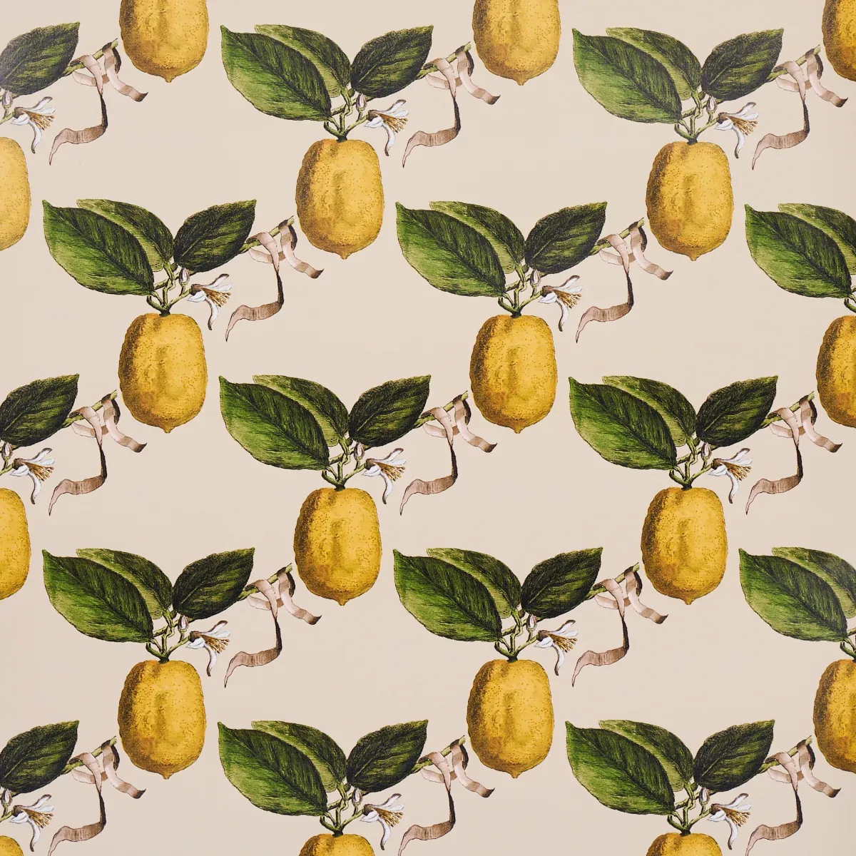 LE CITRON NATURAL Schumacher Wallpaper wallpaper - SKU 5014282