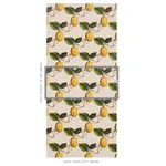 LE CITRON - NATURAL Schumacher Wallpaper | Wallpaper Twins LE CITRON NATURAL Schumacher Wallpaper wallpaper - SKU 5014282