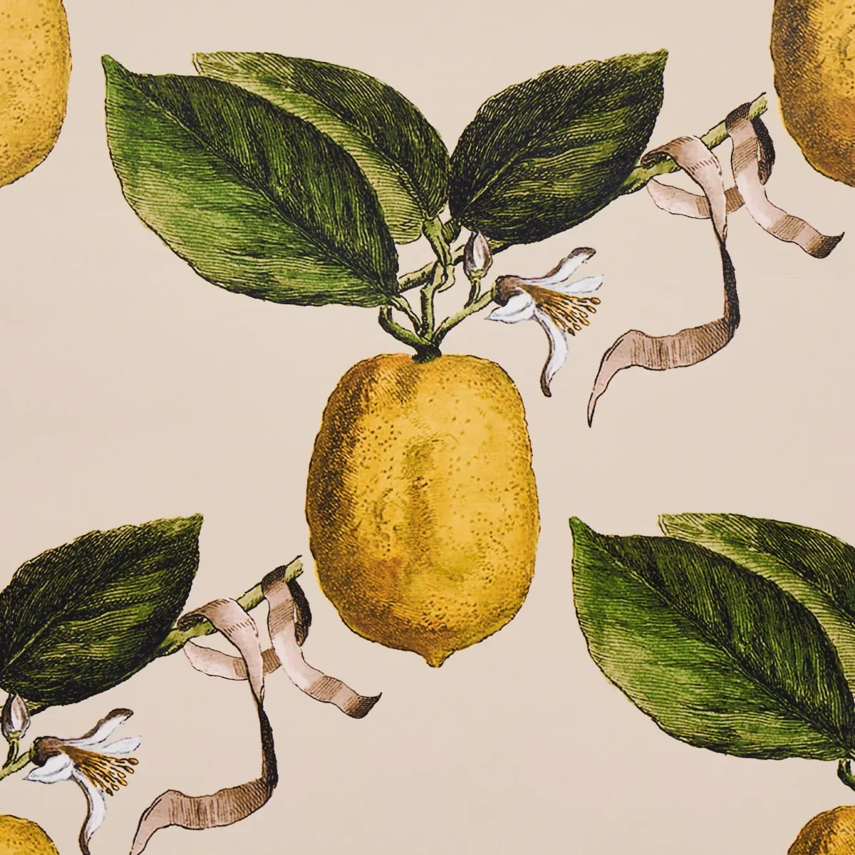 LE CITRON - NATURAL Schumacher Wallpaper | Wallpaper Twins LE CITRON NATURAL Schumacher Wallpaper wallpaper - SKU 5014282