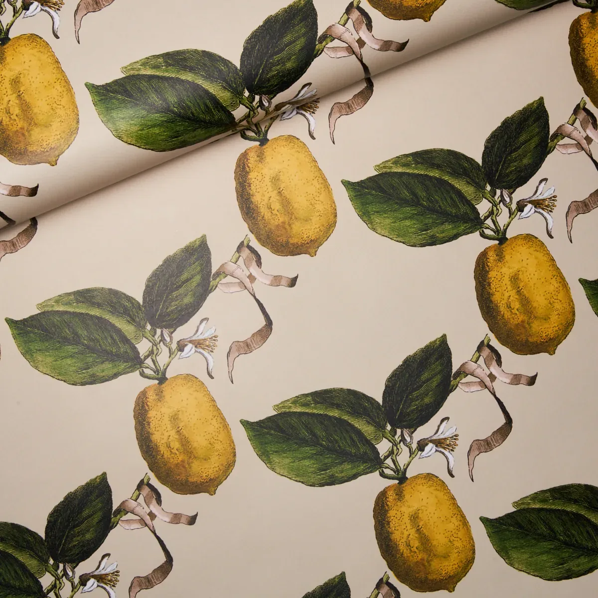 LE CITRON - NATURAL Schumacher Wallpaper | Wallpaper Twins LE CITRON NATURAL Schumacher Wallpaper wallpaper - SKU 5014282