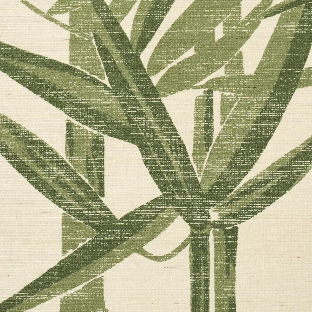 LES BAMBOUS SISAL - GREEN Schumacher Wallpaper | Wallpaper T LES BAMBOUS SISAL GREEN Schumacher Wallpaper wallpaper - SKU 5008313