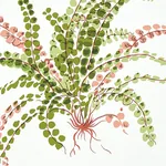 LES FOUGERES SPRING Schumacher Wallpaper wallpaper - SKU 5010661