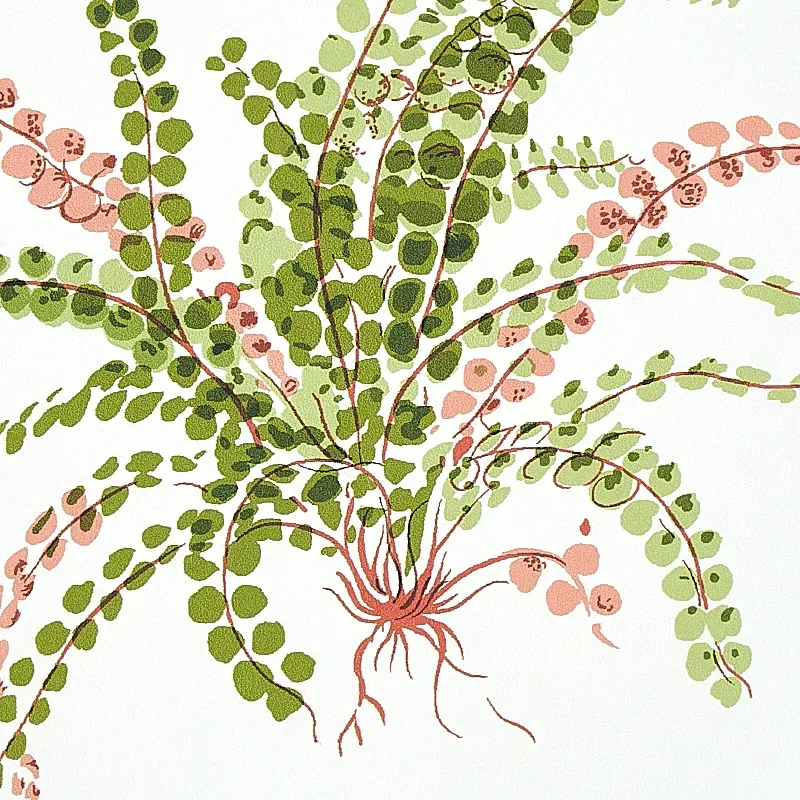 LES FOUGERES SPRING Schumacher Wallpaper wallpaper - SKU 5010661
