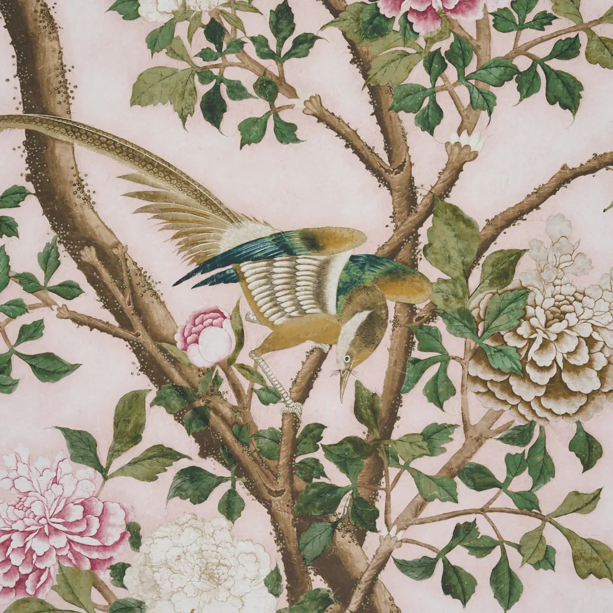 LES OISEAUX PANEL SET - BLUSH Schumacher Wallpaper | Wallpap LES OISEAUX PANEL SET BLUSH Schumacher Wallpaper wallpaper - SKU 5015154