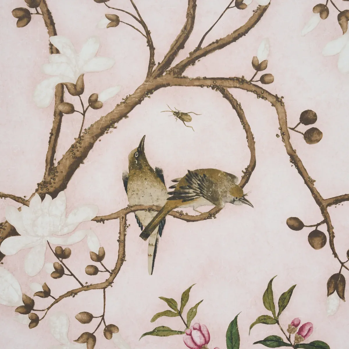 LES OISEAUX PANEL SET - BLUSH Schumacher Wallpaper | Wallpap LES OISEAUX PANEL SET BLUSH Schumacher Wallpaper wallpaper - SKU 5015154