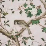 LES OISEAUX PANEL SET - BLUSH Schumacher Wallpaper | Wallpap LES OISEAUX PANEL SET BLUSH Schumacher Wallpaper wallpaper - SKU 5015154