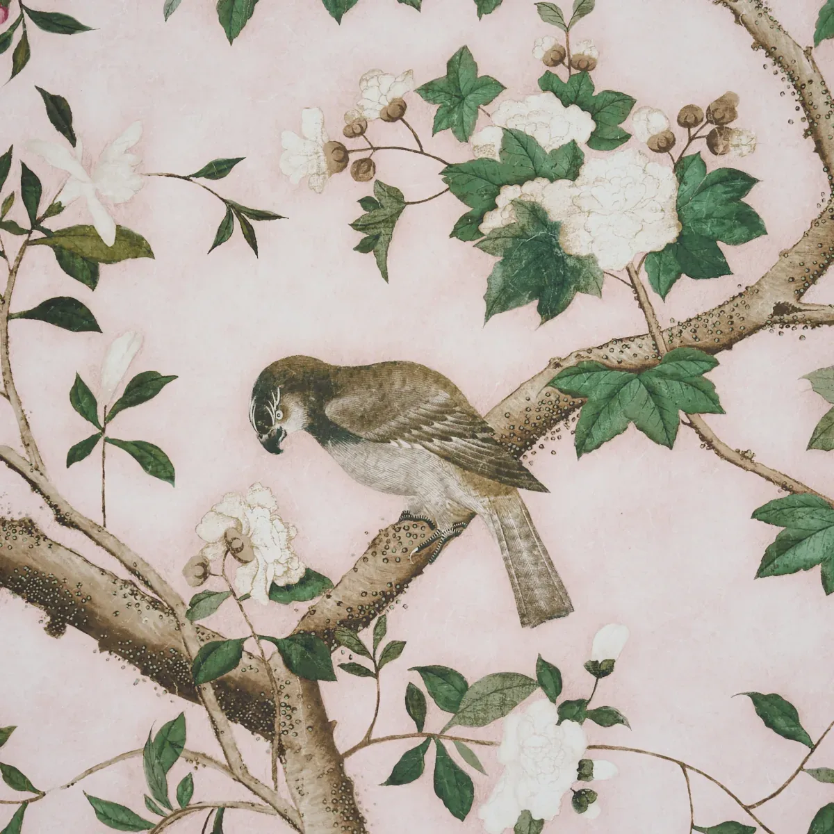LES OISEAUX PANEL SET - BLUSH Schumacher Wallpaper | Wallpap LES OISEAUX PANEL SET BLUSH Schumacher Wallpaper wallpaper - SKU 5015154
