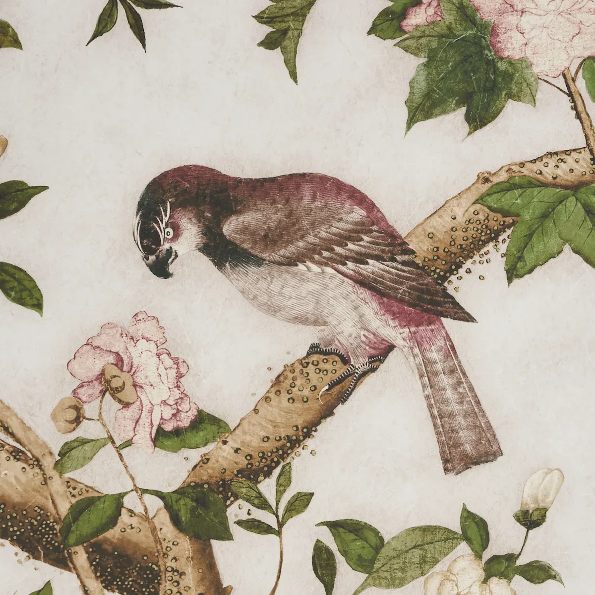 LES OISEAUX PANEL SET - IVORY Schumacher Wallpaper | Wallpap LES OISEAUX PANEL SET IVORY Schumacher Wallpaper wallpaper - SKU 5015151