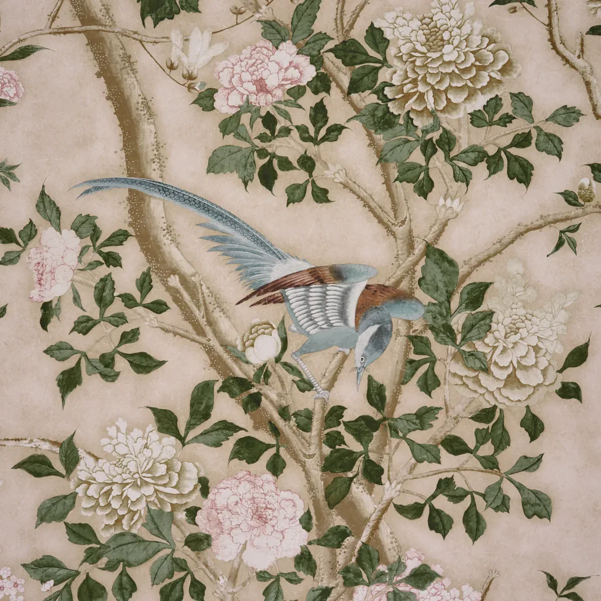 LES OISEAUX PANEL SET - PARCHMENT Schumacher Wallpaper | Wal LES OISEAUX PANEL SET PARCHMENT Schumacher Wallpaper wallpaper - SKU 5015155