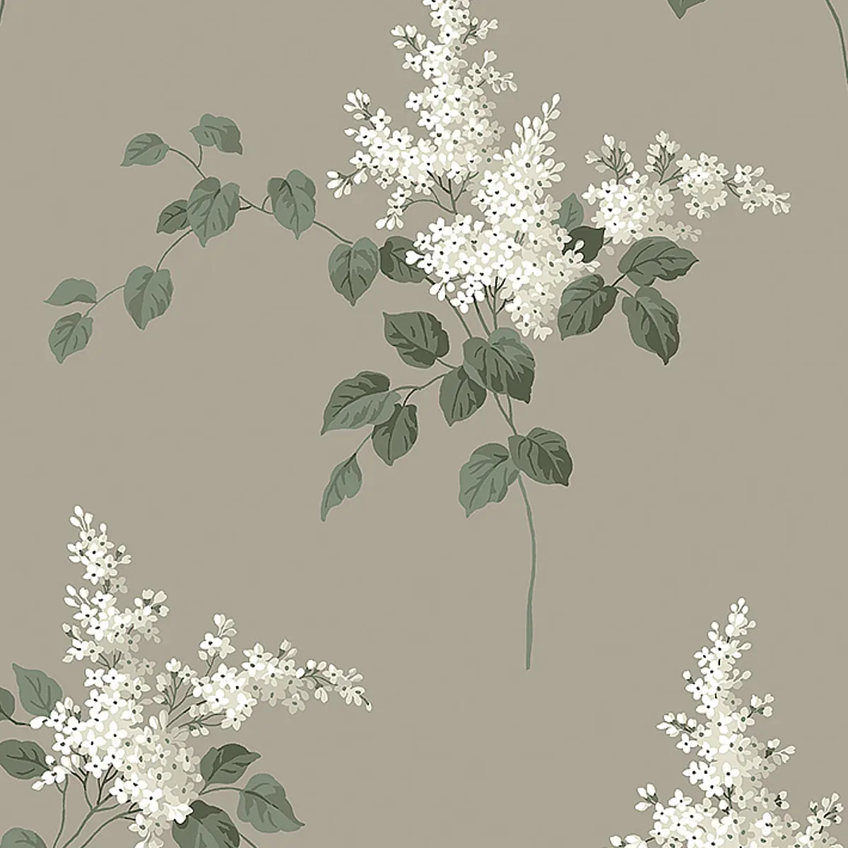 7667 | LILACS – GRISAILLE