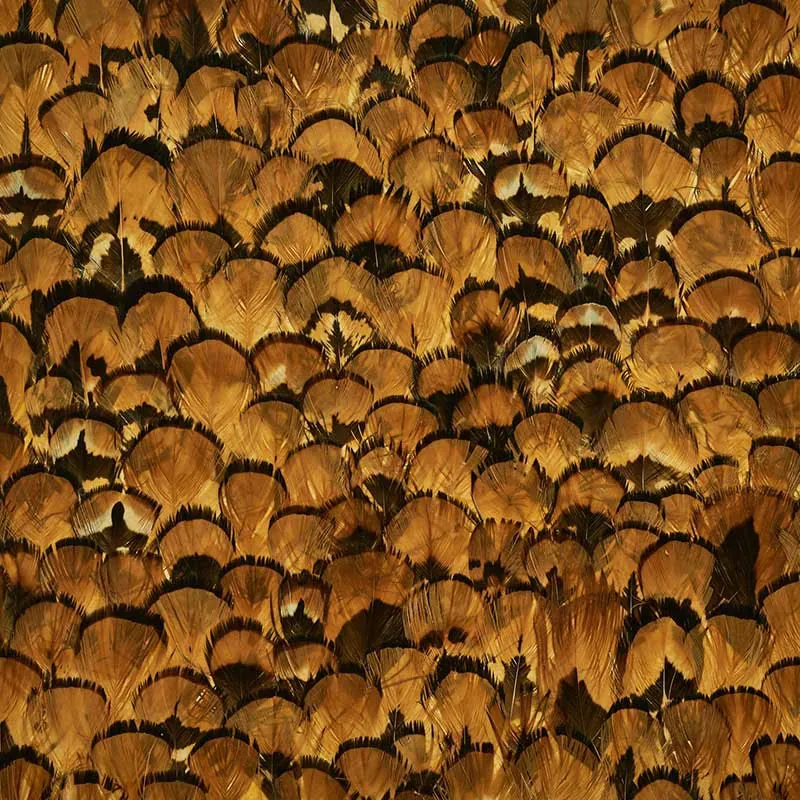 LIMONITE APRICOT Schumacher Wallpaper wallpaper - SKU 5008392