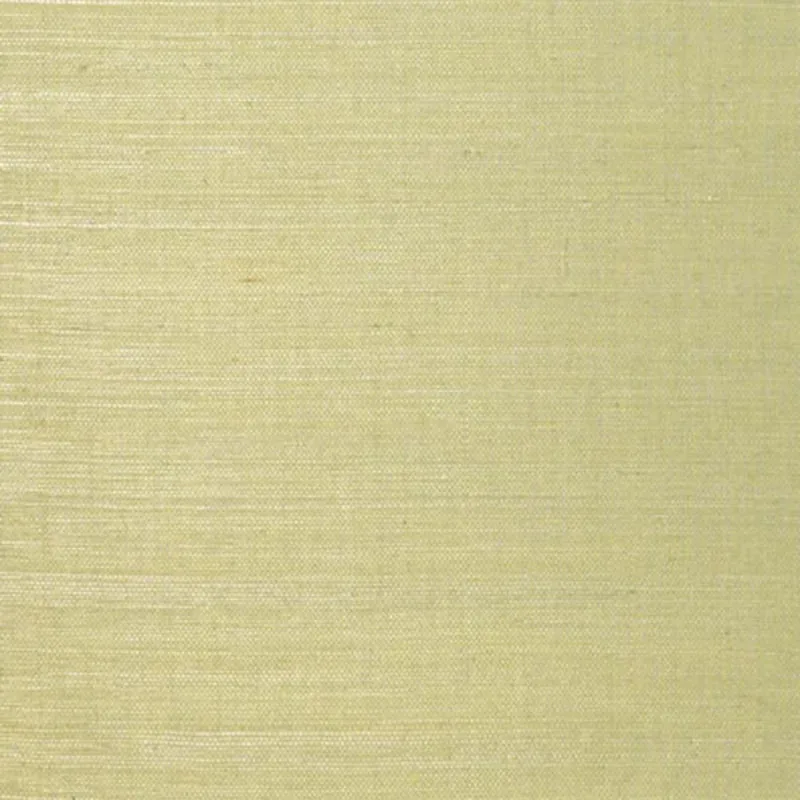 LINYI GROUND CELERY Schumacher Wallpaper wallpaper - SKU 5003591