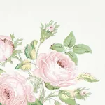 LOUDON ROSE - BLUSH Schumacher Wallpaper | Wallpaper Twins LOUDON ROSE BLUSH Schumacher Wallpaper wallpaper - SKU 5012031