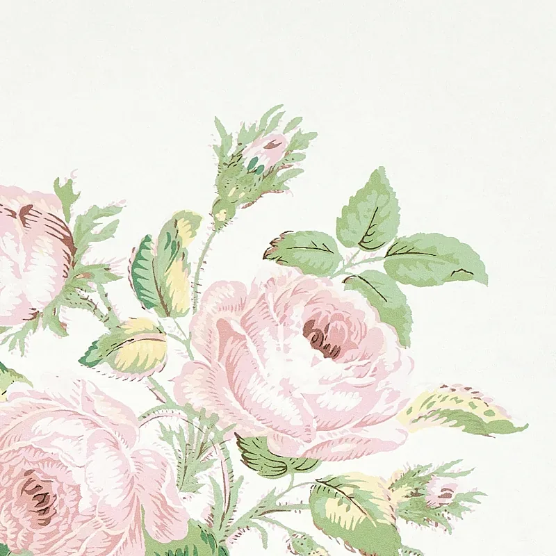 LOUDON ROSE - BLUSH Schumacher Wallpaper | Wallpaper Twins LOUDON ROSE BLUSH Schumacher Wallpaper wallpaper - SKU 5012031