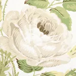 LOUDON ROSE - IVORY Schumacher Wallpaper | Wallpaper Twins LOUDON ROSE IVORY Schumacher Wallpaper wallpaper - SKU 5012030