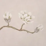 MAGNOLIA TREE DUSTY BLUSH Schumacher Wallpaper wallpaper - SKU 5016933