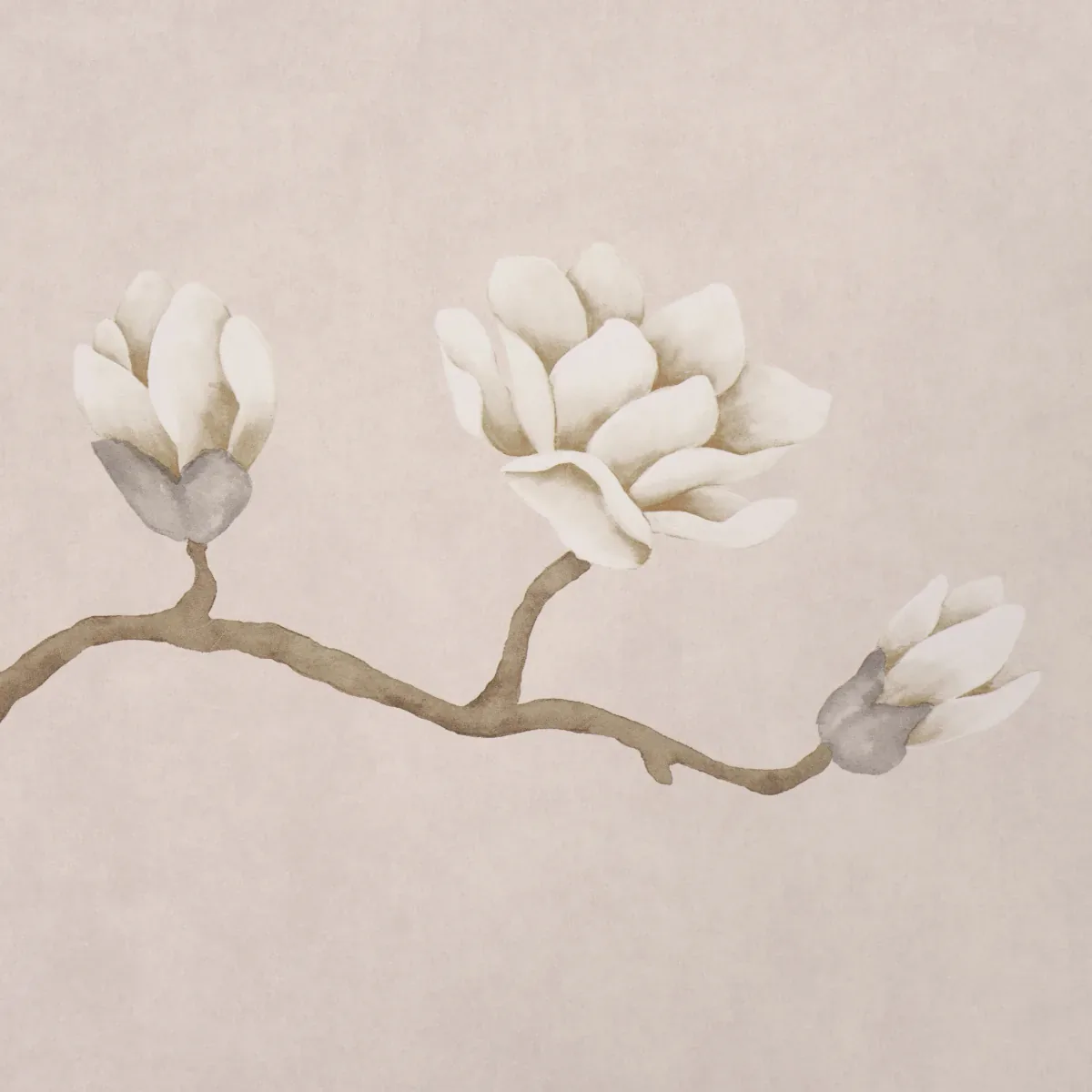 MAGNOLIA TREE DUSTY BLUSH Schumacher Wallpaper wallpaper - SKU 5016933