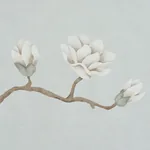 MAGNOLIA TREE DUSTY SKY Schumacher Wallpaper wallpaper - SKU 5016930