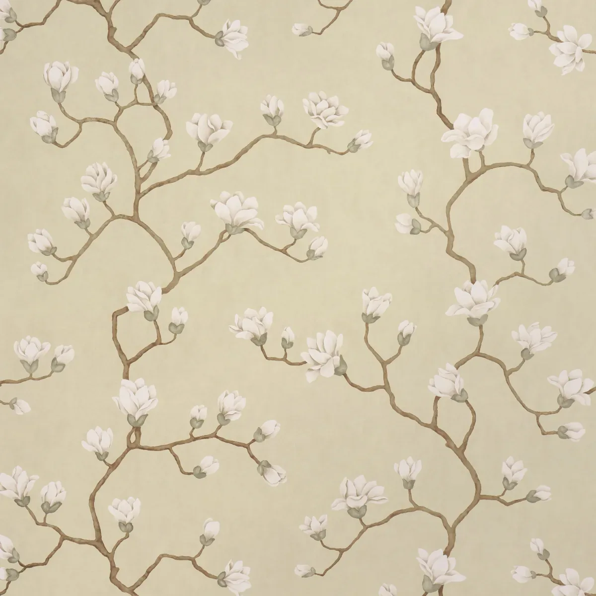 MAGNOLIA TREE SOFT GOLD Schumacher Wallpaper wallpaper - SKU 5016932