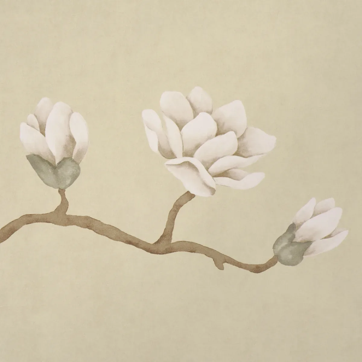 MAGNOLIA TREE SOFT GOLD Schumacher Wallpaper wallpaper - SKU 5016932