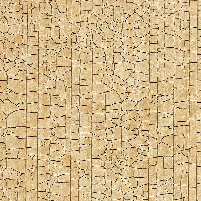 5003764 | MASACCIO GROUND – CAMEL
