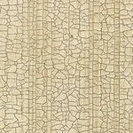 MASACCIO GROUND CHAMPAGNE Schumacher Wallpaper wallpaper - SKU 5003761