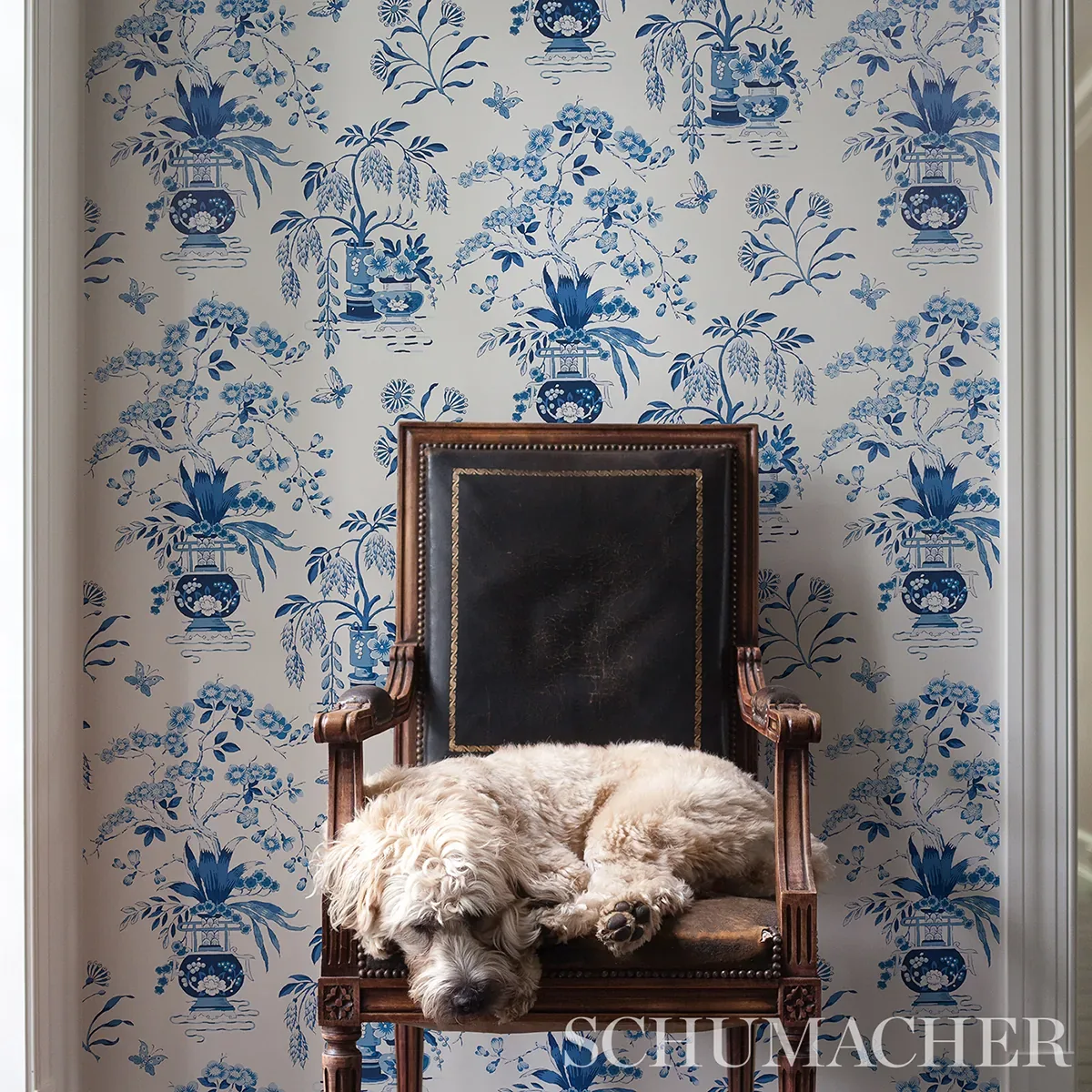 MING VASE PORCELAIN Schumacher Wallpaper wallpaper - SKU 5013580