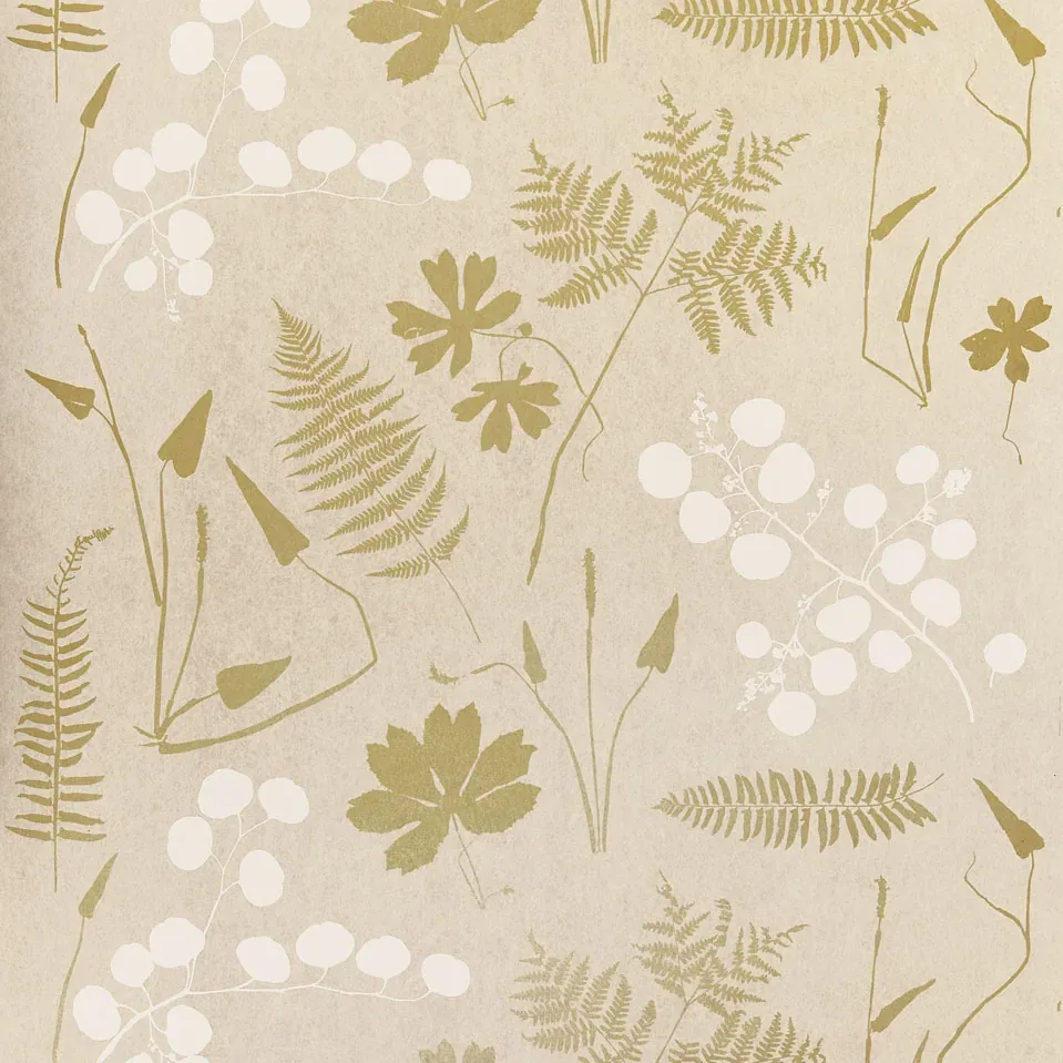 5005010 | MODERN BOTANICAL – PARCHMENT