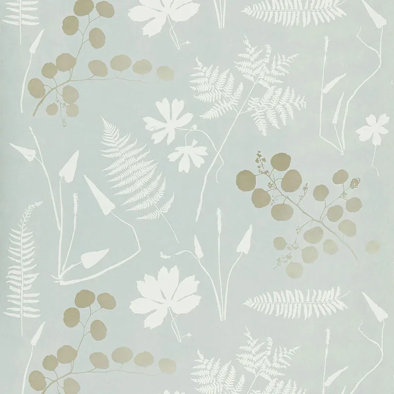 MODERN BOTANICAL SLATE Schumacher Wallpaper wallpaper - SKU 5005011