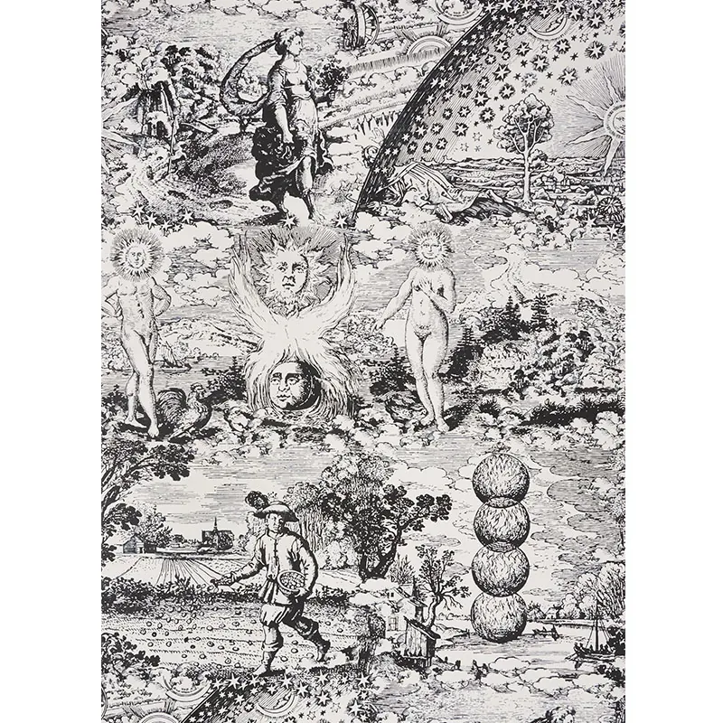 MODERN TOILE BLACK Schumacher Wallpaper wallpaper - SKU 5010420