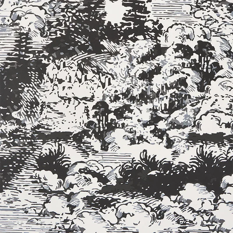 MODERN TOILE BLACK Schumacher Wallpaper wallpaper - SKU 5010420