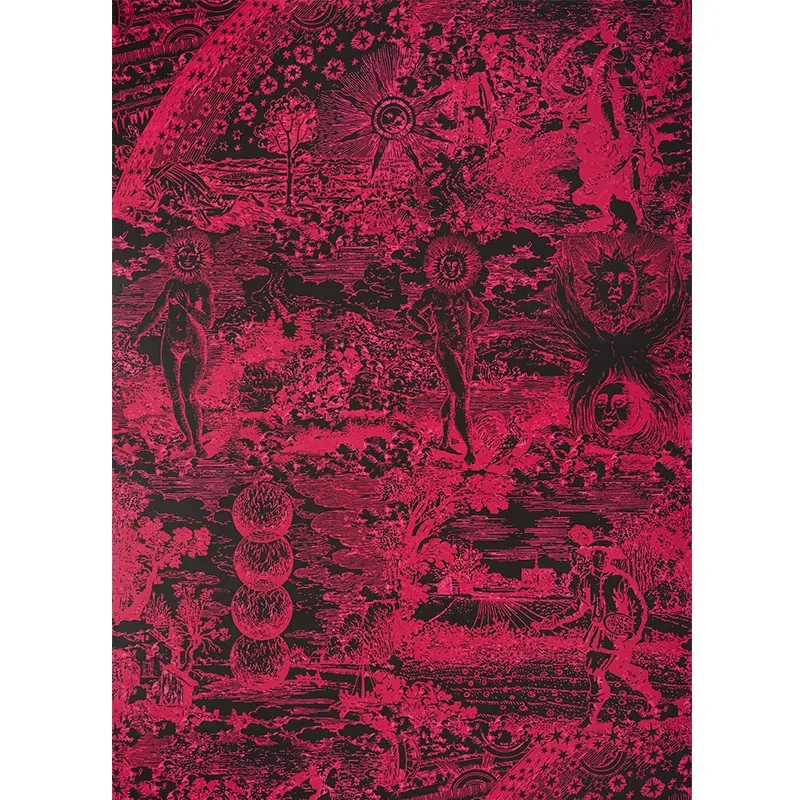 MODERN TOILE PINK & BLACK Schumacher Wallpaper wallpaper - SKU 5010423