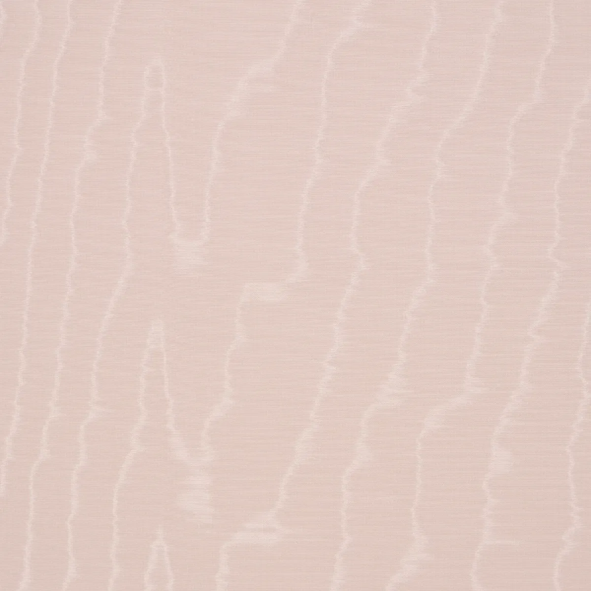 MOIRÉ WALLCOVERING ROSE Schumacher Wallpaper wallpaper - SKU 5009675