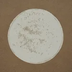 MONTE CARLO EARTHY BROWN Schumacher Wallpaper wallpaper - SKU 5015591