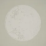 MONTE CARLO - LIGHT BEIGE Schumacher Wallpaper | Wallpaper T MONTE CARLO LIGHT BEIGE Schumacher Wallpaper wallpaper - SKU 5015593