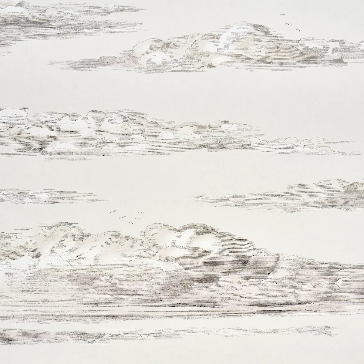 MR. DARCY'S CLOUDS - GRISAILLE Schumacher Wallpaper | Wallpa MR. DARCY'S CLOUDS GRISAILLE Schumacher Wallpaper wallpaper - SKU 5017582
