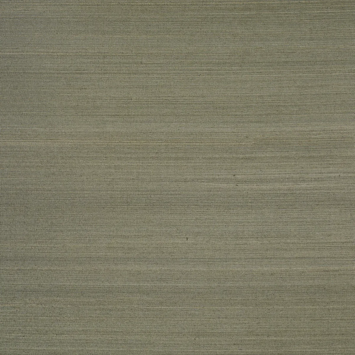 5016876 | MUSA ABACA WALLCOVERING – EUCALYPTUS
