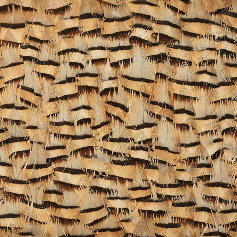 MUSCOVITE CRACKER KHAKI Schumacher Wallpaper wallpaper - SKU 5008401
