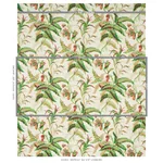MYERS FERN - DOCUMENT Schumacher Wallpaper | Wallpaper Twins MYERS FERN DOCUMENT Schumacher Wallpaper wallpaper - SKU 5013232