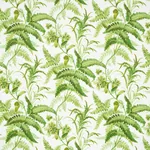 MYERS FERN - TROPICAL Schumacher Wallpaper | Wallpaper Twins MYERS FERN TROPICAL Schumacher Wallpaper wallpaper - SKU 5013231