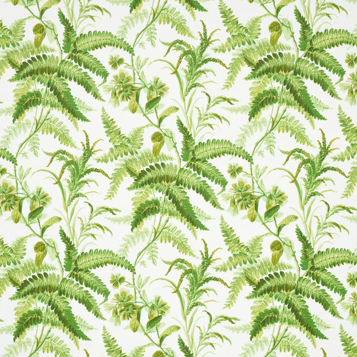 MYERS FERN TROPICAL Schumacher Wallpaper wallpaper - SKU 5013231