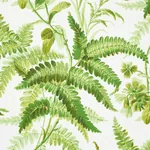 MYERS FERN - TROPICAL Schumacher Wallpaper | Wallpaper Twins MYERS FERN TROPICAL Schumacher Wallpaper wallpaper - SKU 5013231