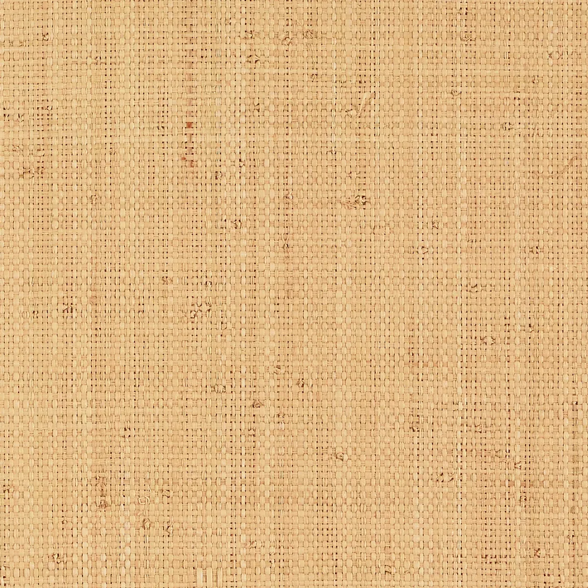 NAKARA NATURAL Schumacher Wallpaper wallpaper - SKU 5007940